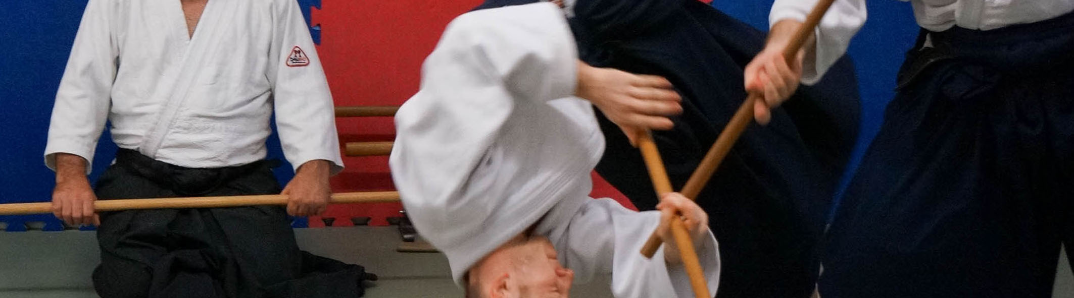 Jo Nage II